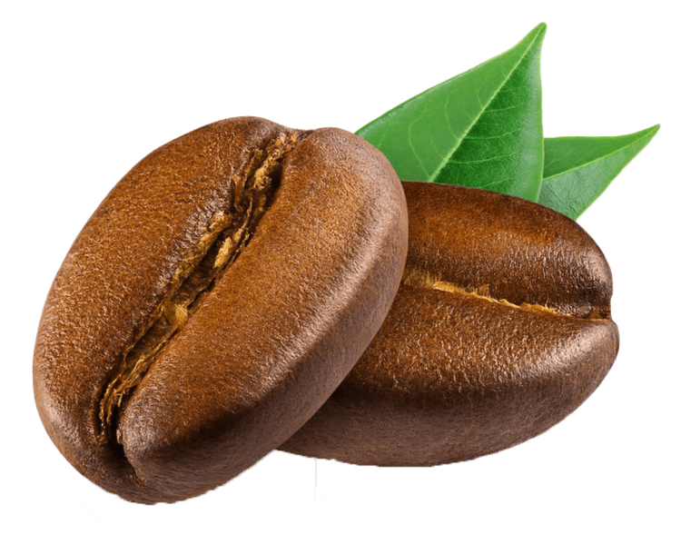 کرما کلاسیک اکسپرت | Crema classica Expert